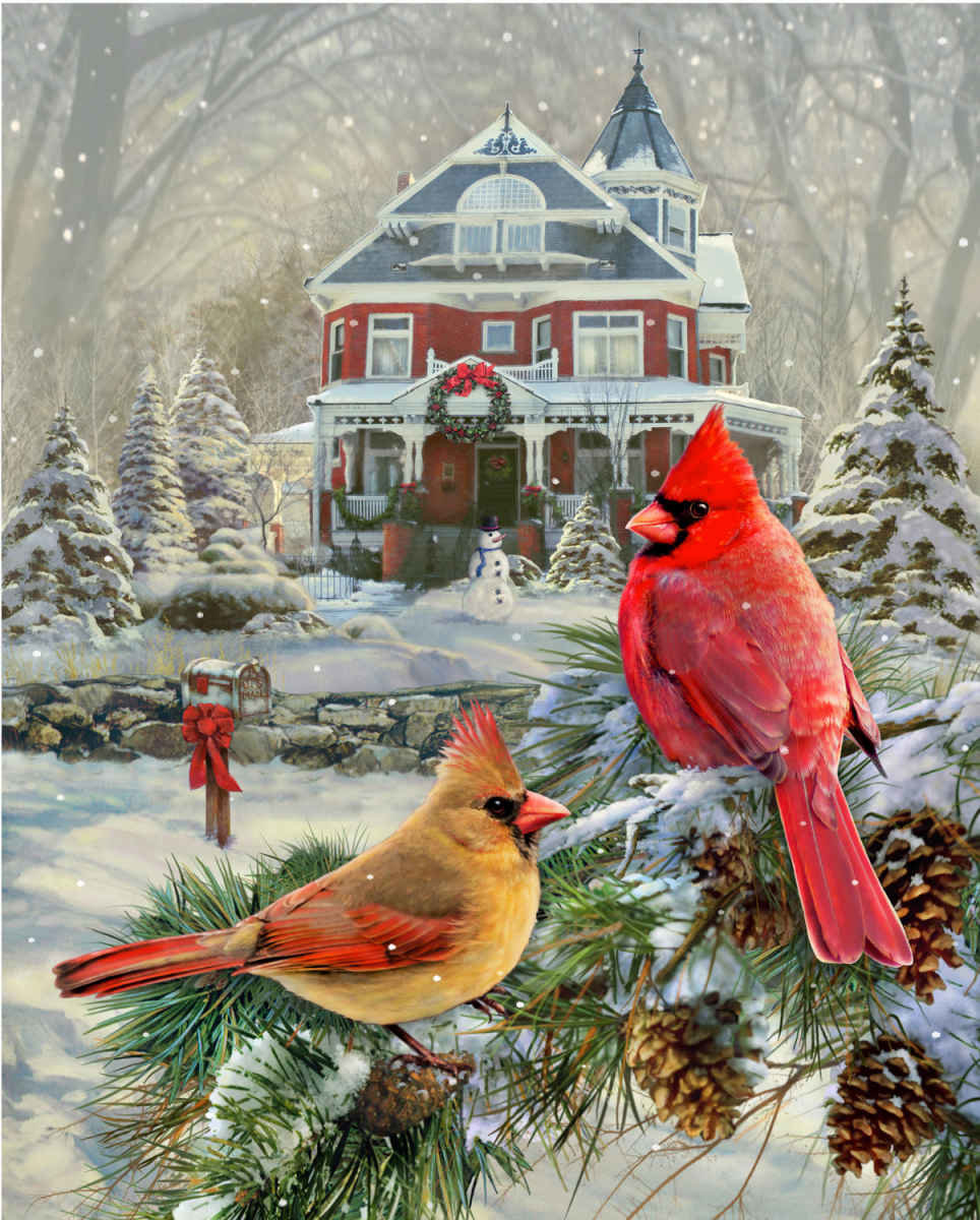 Птички - дом, домик, зима, шишки, снеговик, снег, птицы, птички, рисунок - оригинал