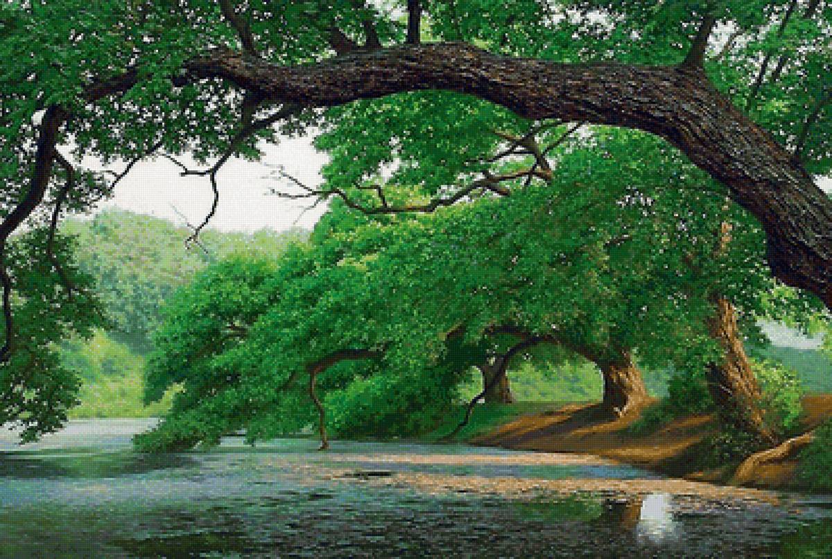 пейзаж - лес, река, лето - предпросмотр