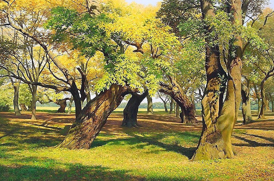 пейзаж - лето, лес - оригинал