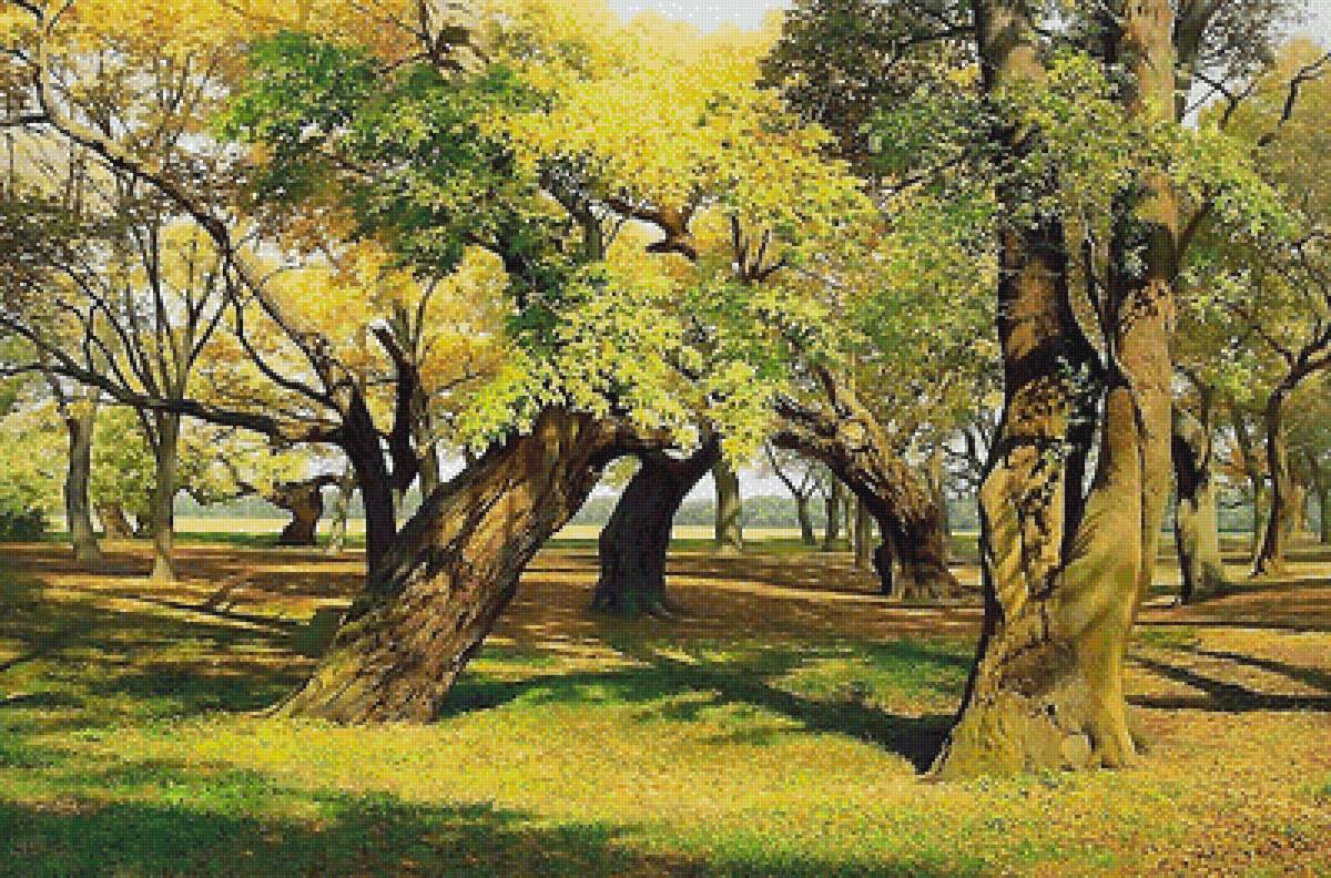 пейзаж - лес, лето - предпросмотр