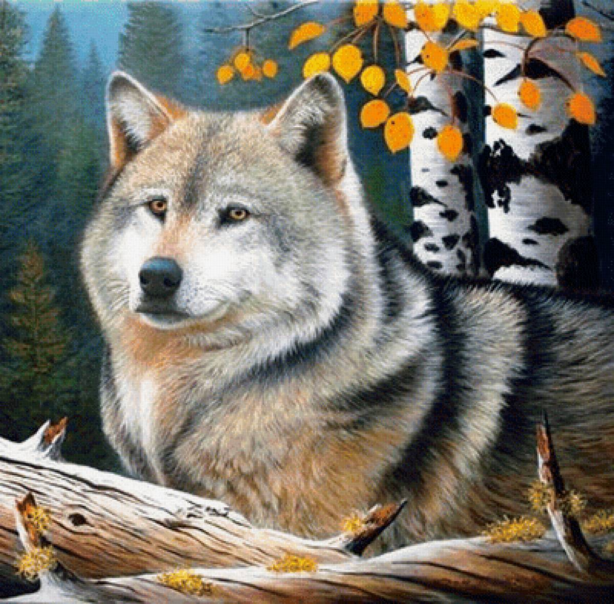 Арт - арт, животное, природа, лес, волк - предпросмотр