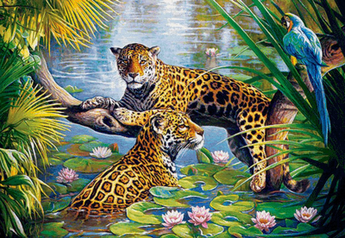 Мир животных - животное, семья, леопард, ара, арт, попугай, пара, природа - предпросмотр