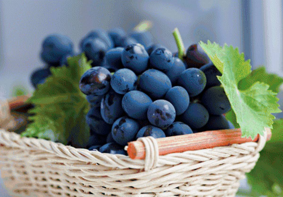 Виноград - виноград, фрукты - предпросмотр