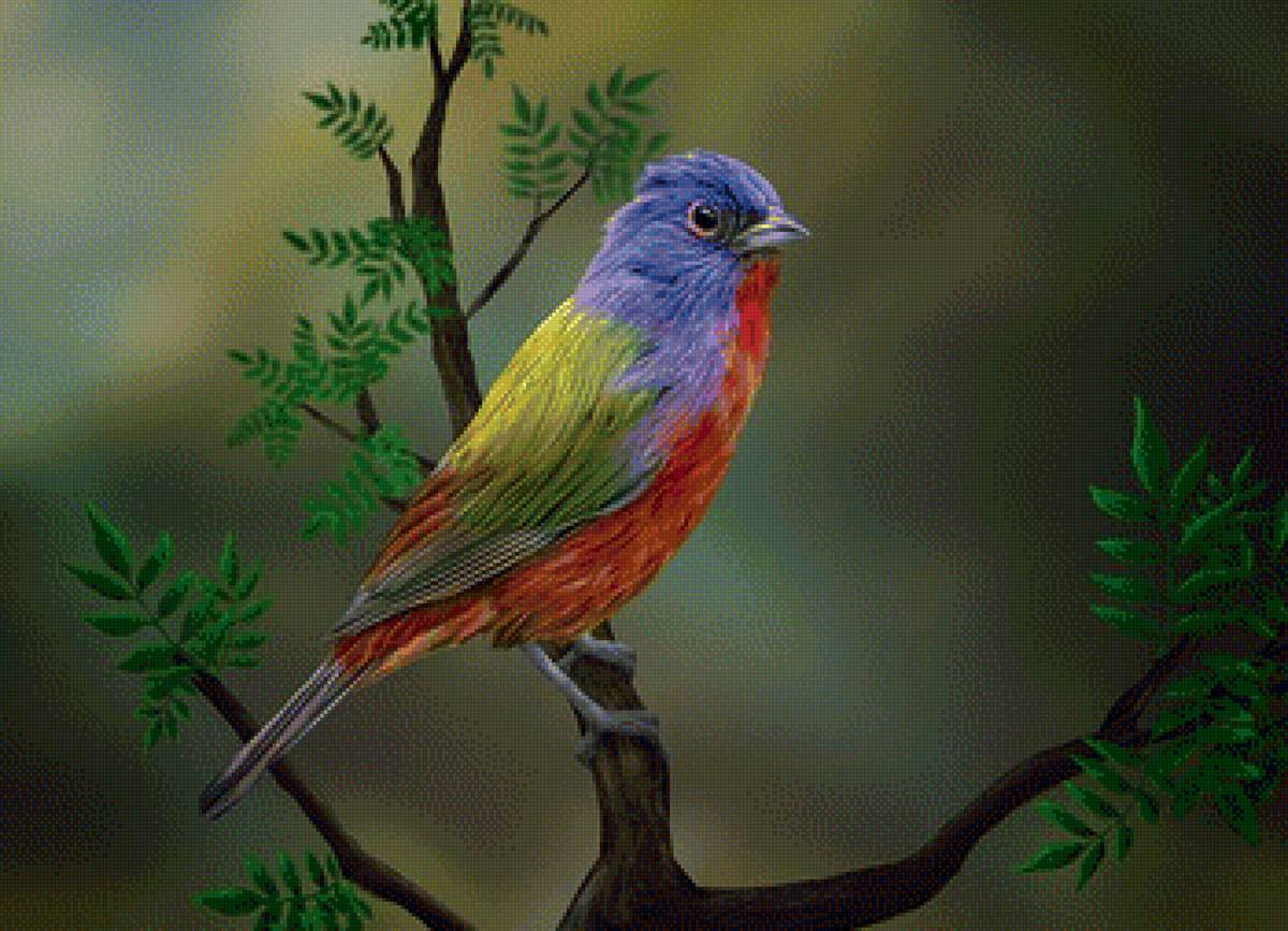 Птичка - рисунок, птица, птичка, ветка - предпросмотр