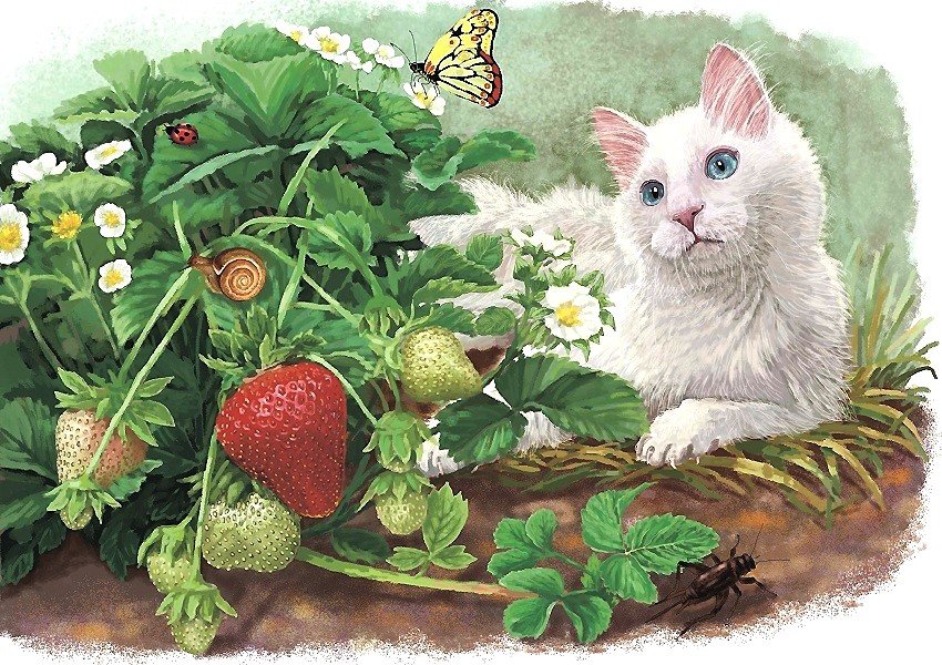 котик - оригинал