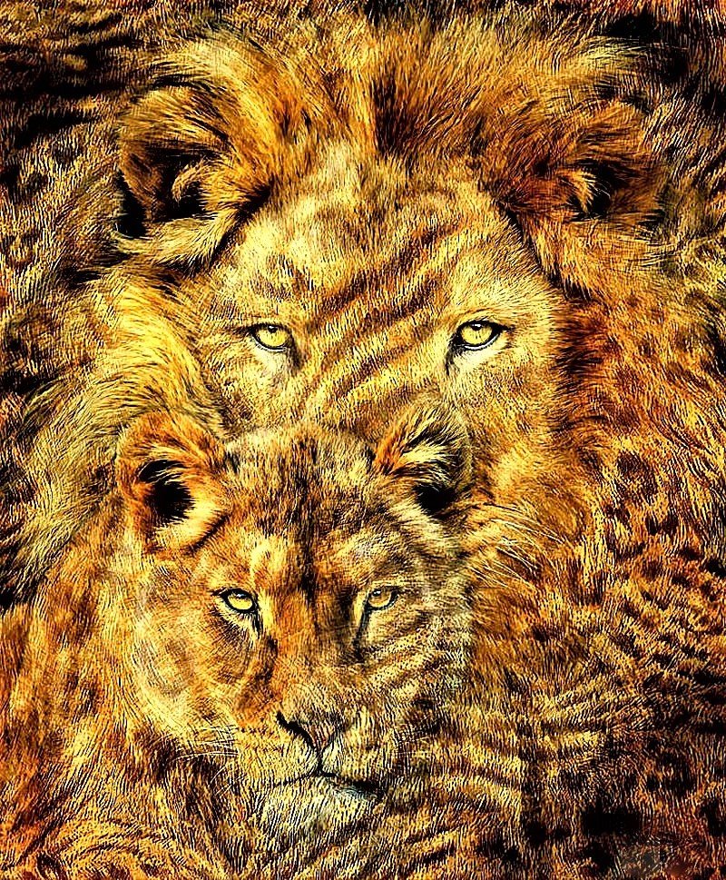 №1912018 - львы - оригинал