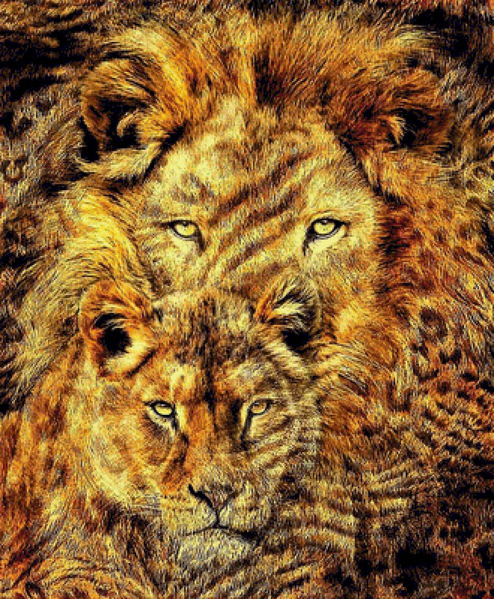 №1912018 - львы - предпросмотр