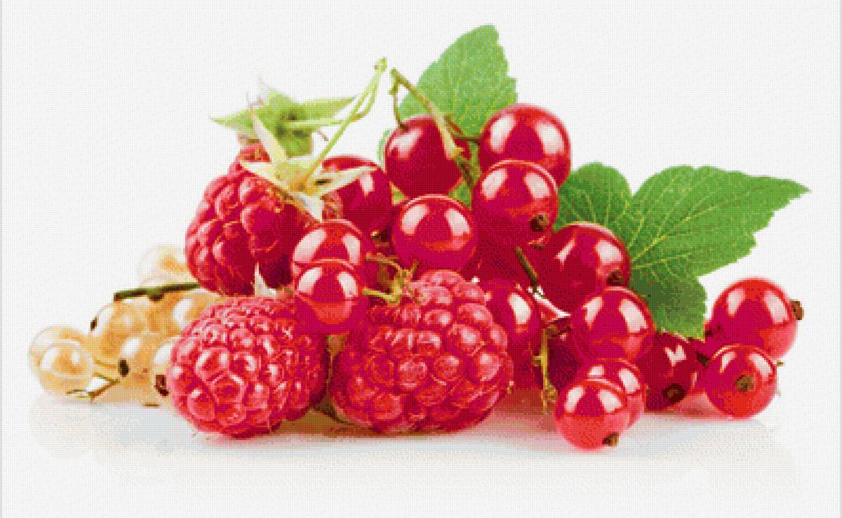 Ягодки - красная смородина, малина, ягоды - предпросмотр