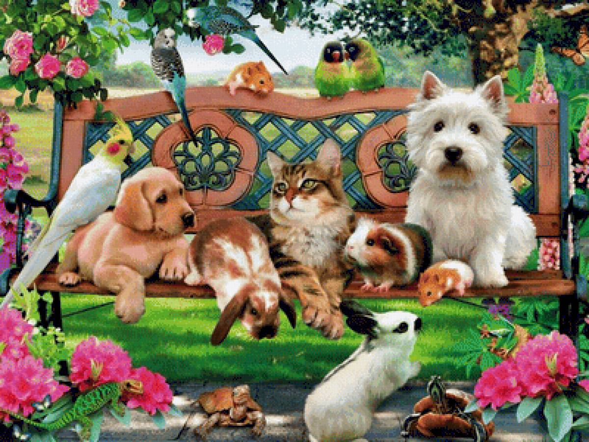 Весёлая компания - собаки, попугаи, черепахи, кот, цветы, животные, кролики, хомяки - предпросмотр