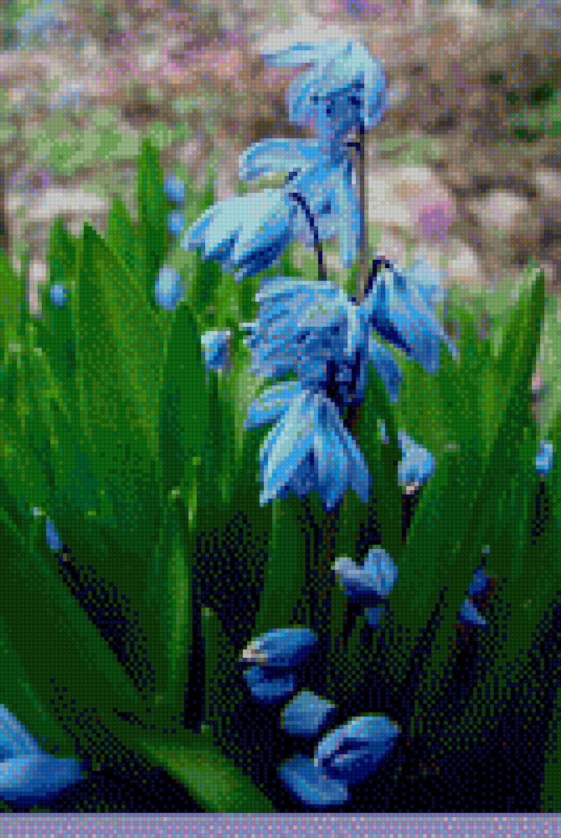 проліски - предпросмотр