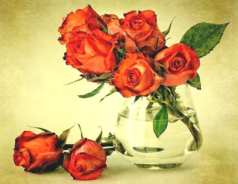 №1912458 - оригинал