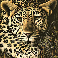 Схема вышивки «Мир животных»