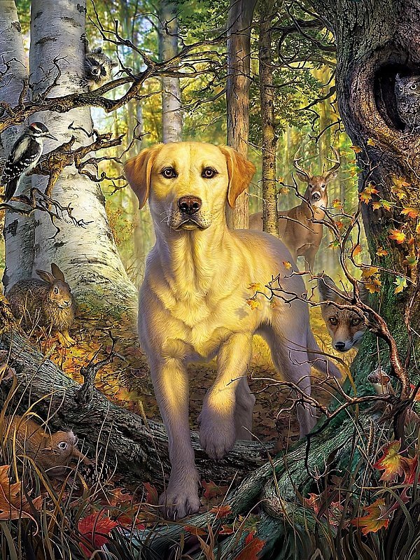 Собака в лесу - собака, лес - оригинал