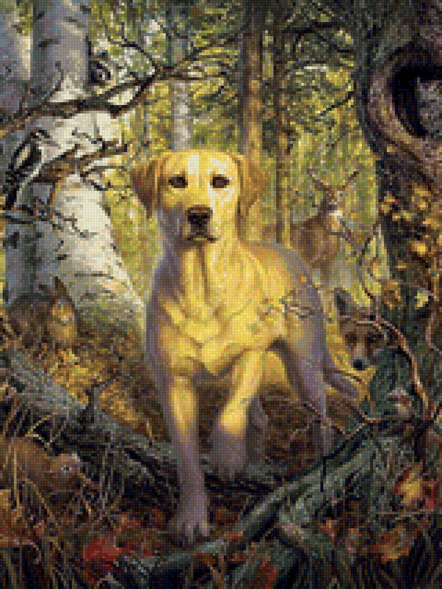 Собака в лесу - собака, лес - предпросмотр