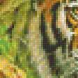 Предпросмотр схемы вышивки «Семейство тигров» (№1912809)