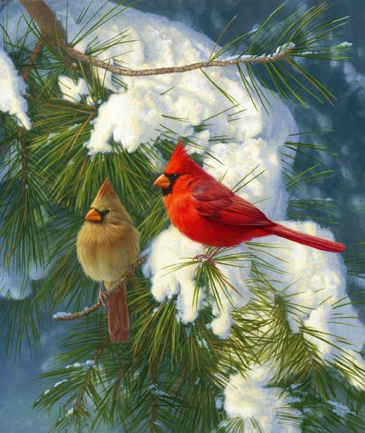 Птички - птицы, снег, рисунок, зима, птички - оригинал