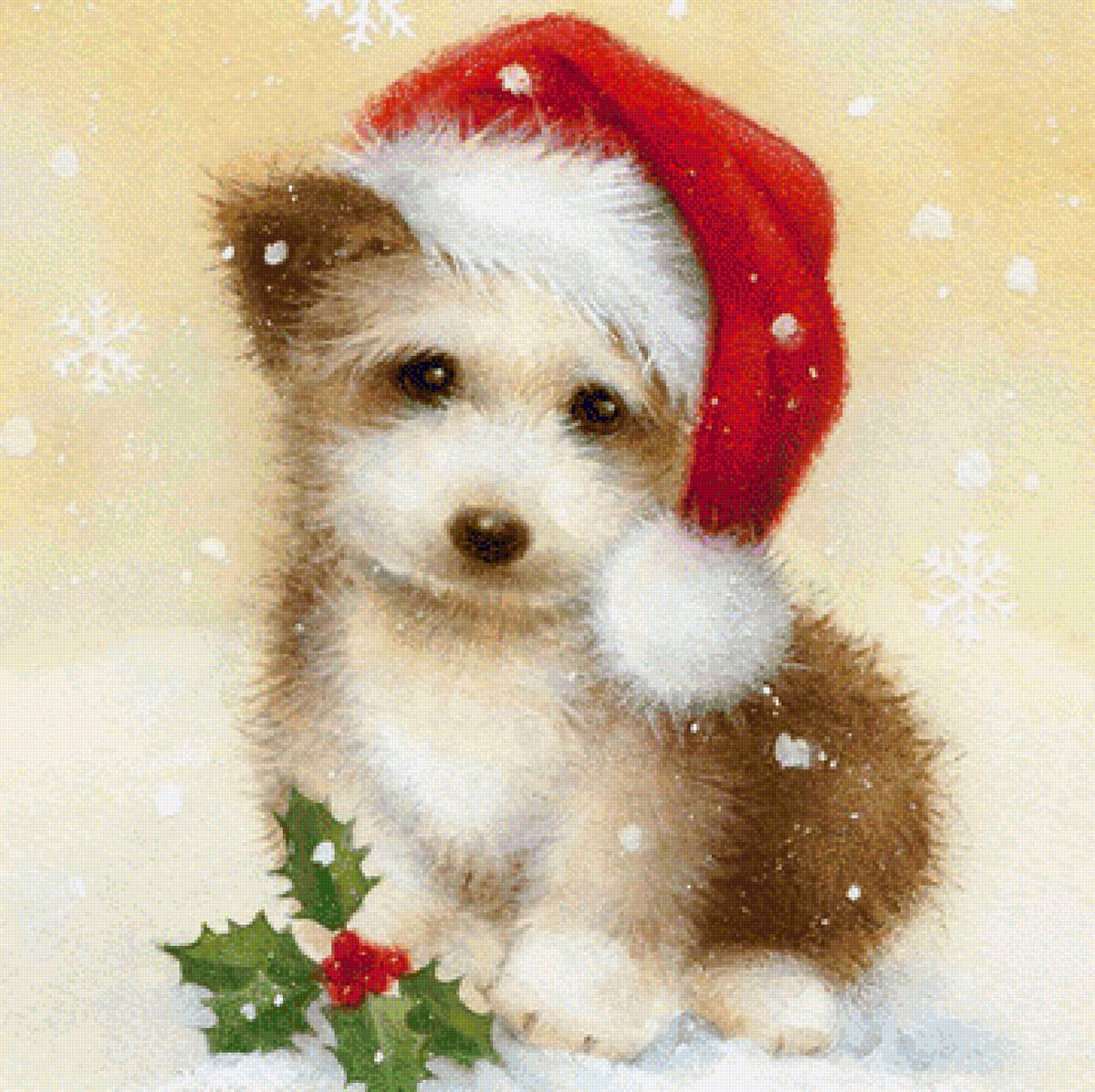 Dog Wearing Christmas Hat. - christmas.animals. - предпросмотр