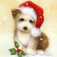 Dog Wearing Christmas Hat.