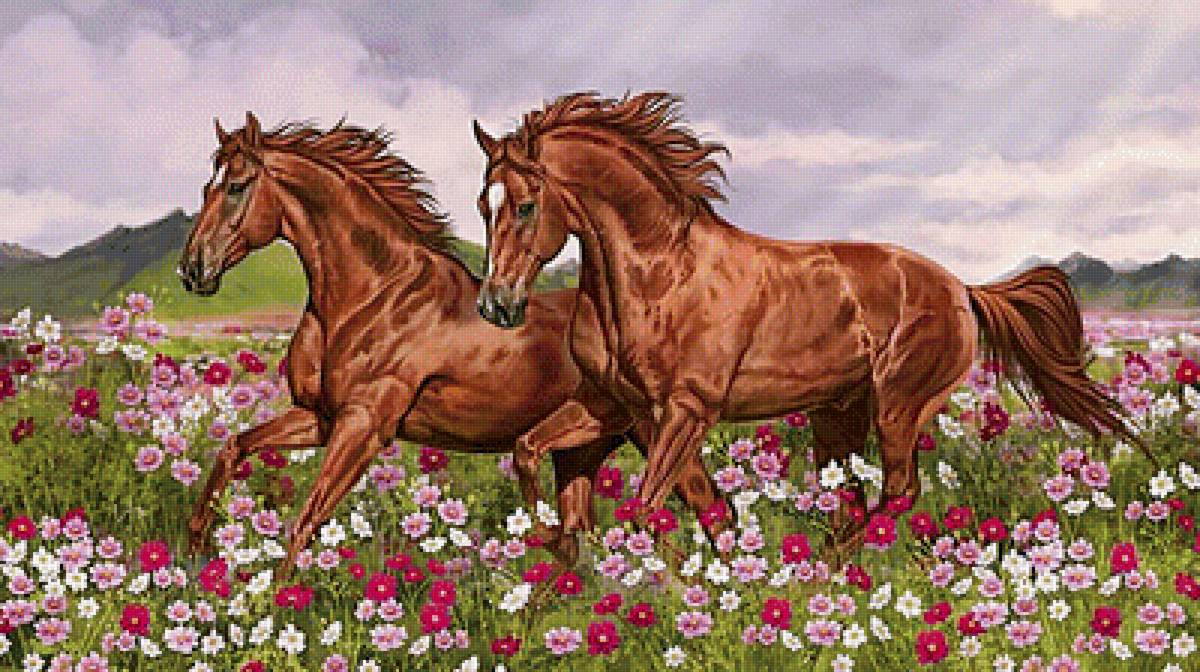 На лугу - пейзаж, кони, поле - предпросмотр