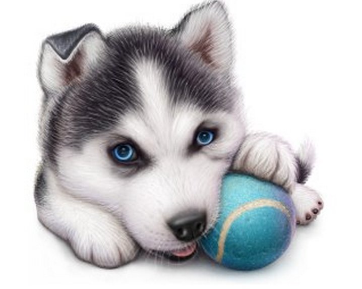 Щенок - щенок, хаски - оригинал