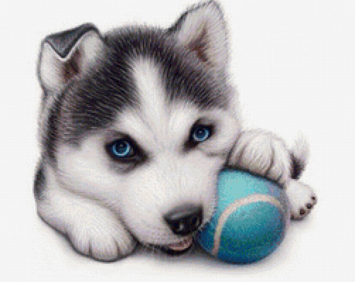 Щенок - щенок, хаски - предпросмотр