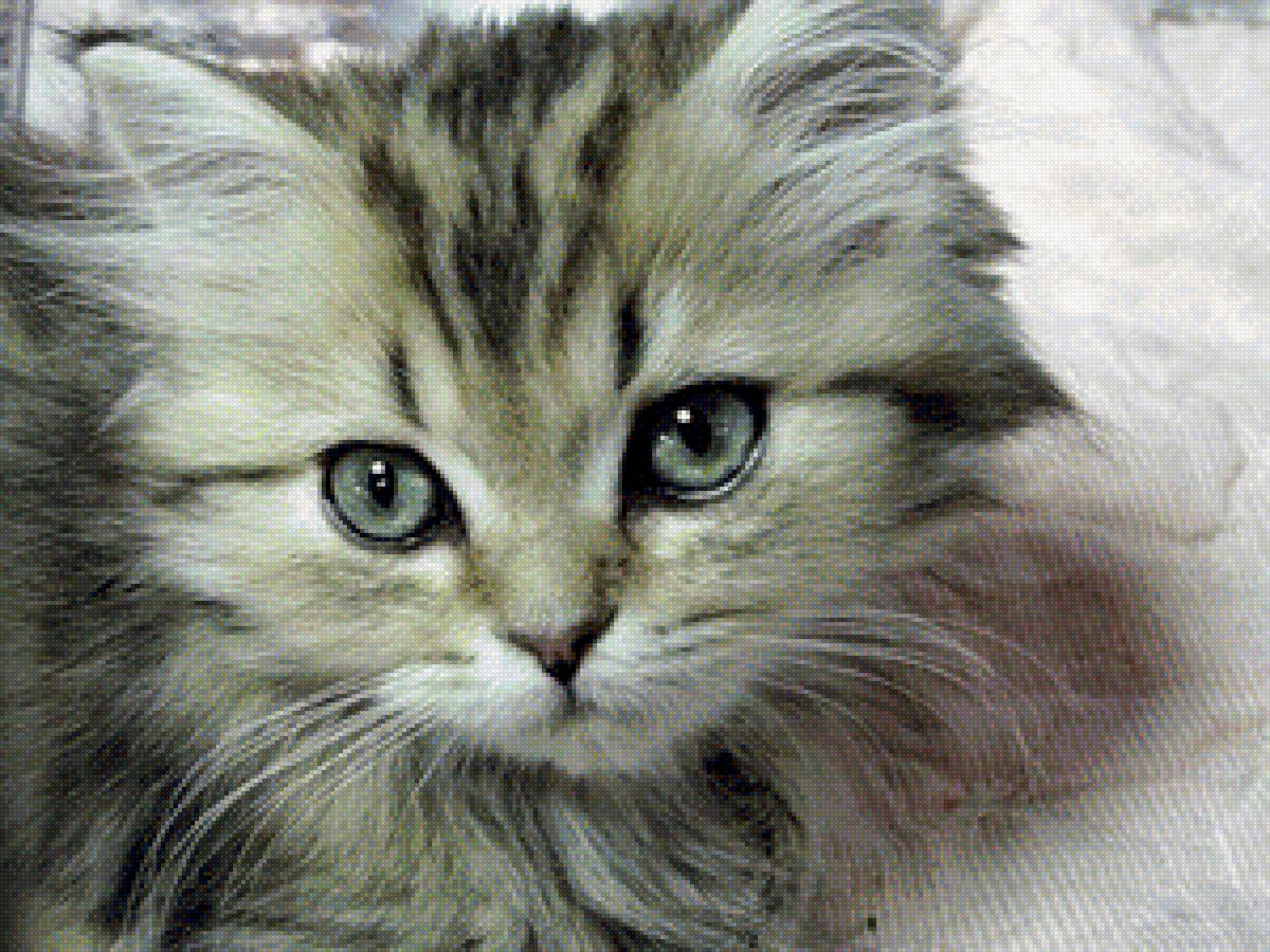 Котенок - котенок - предпросмотр