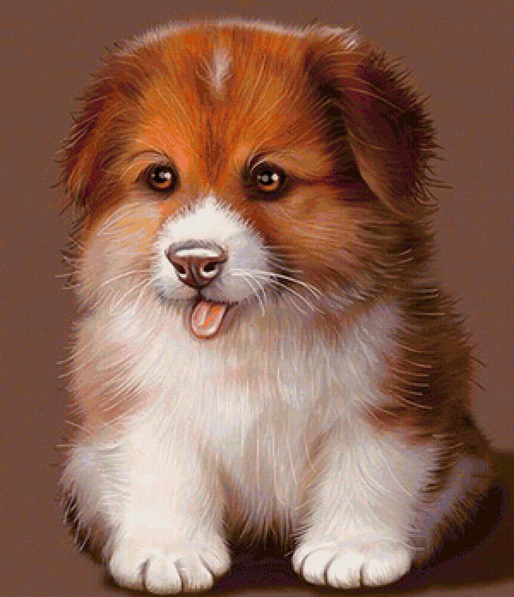 Щенок - щенок - предпросмотр