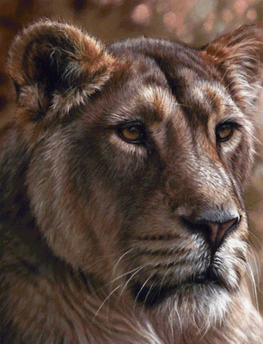 №1913428 - предпросмотр