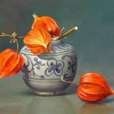 Схема вышивки «ФИЗАЛИС»