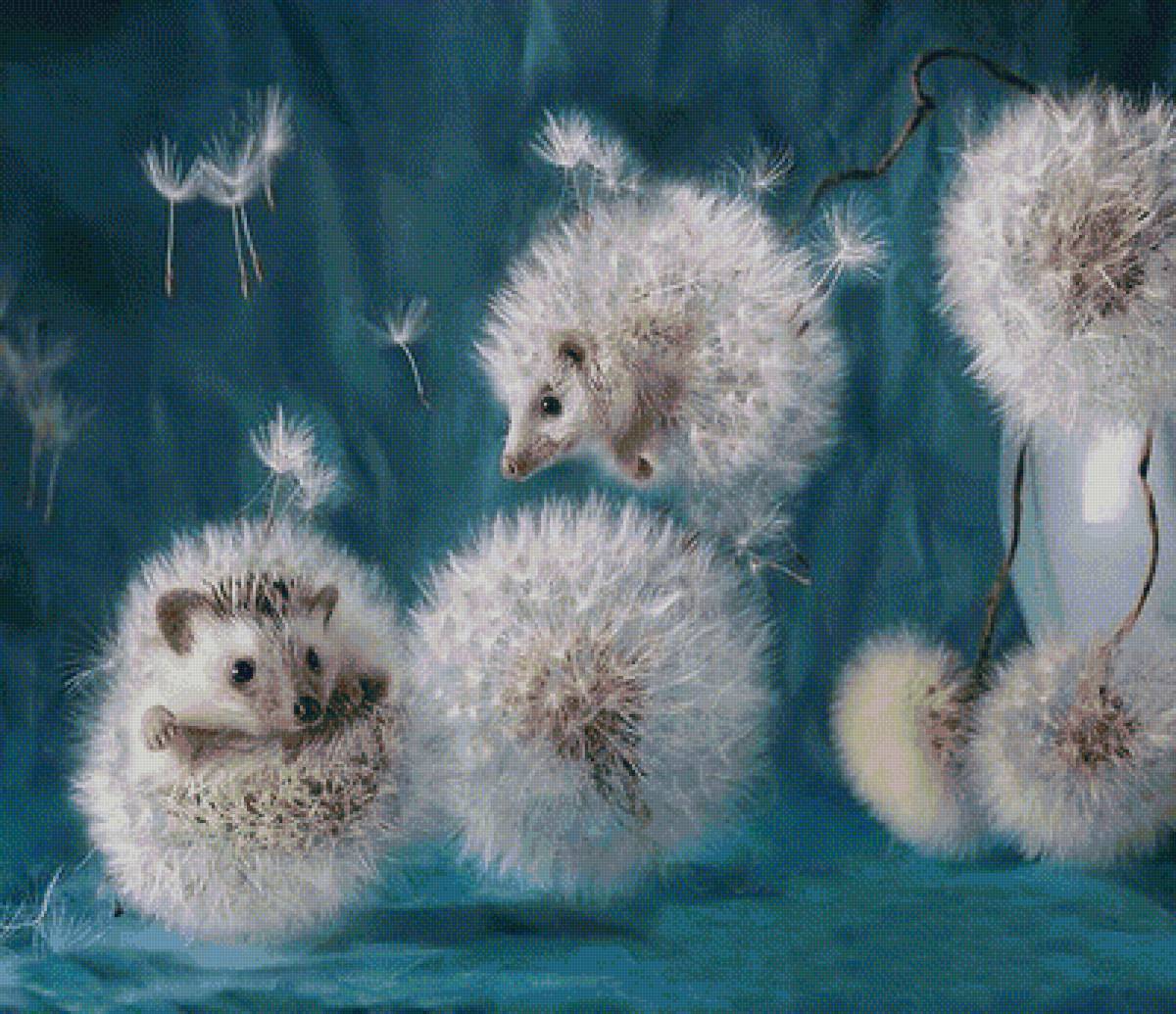 ежики-одуванчики - одуванчик, еж, мило - предпросмотр