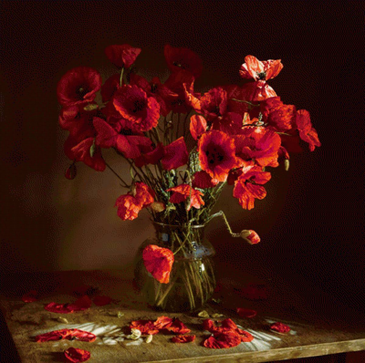 маки - предпросмотр