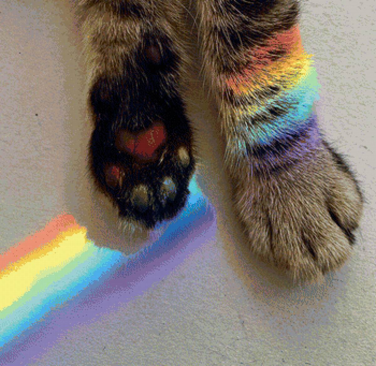 лапки - кот, радуга, кошка, котенок, лапки - предпросмотр