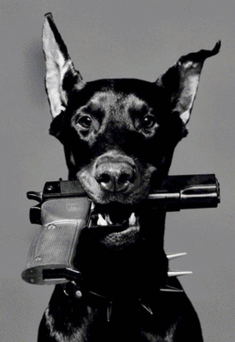собака - чб, пес, пистолет - предпросмотр