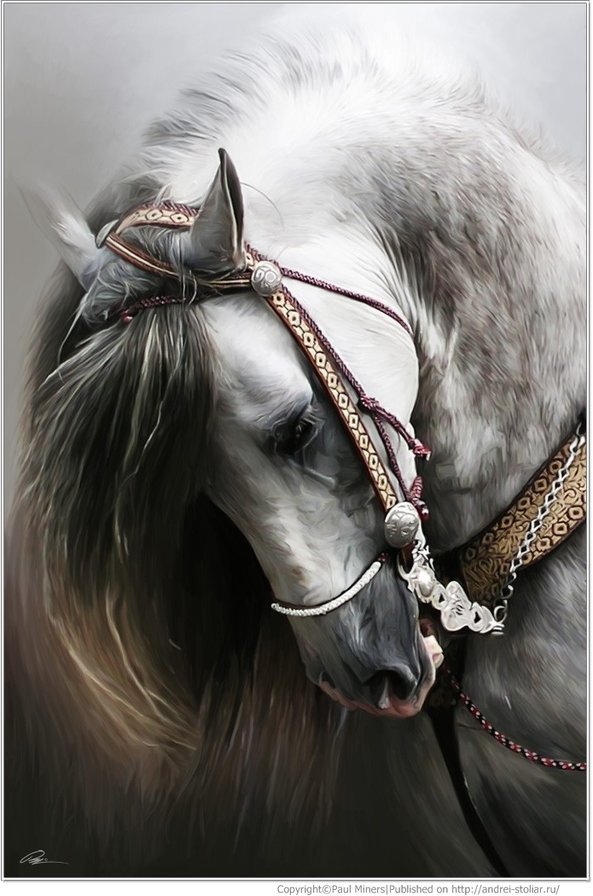 Лошадь - животные, лошадь - оригинал