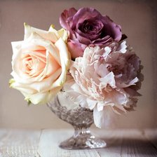 Vintage Photo Floral