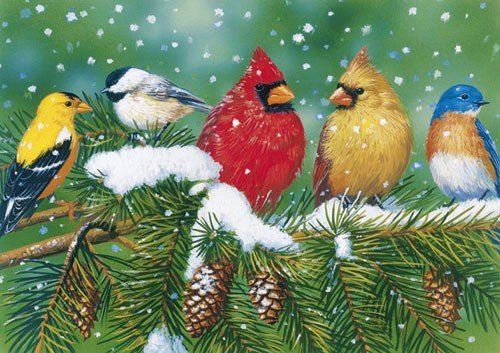 Птички - зима, снег, шишки, рисунок, птички, птицы - оригинал