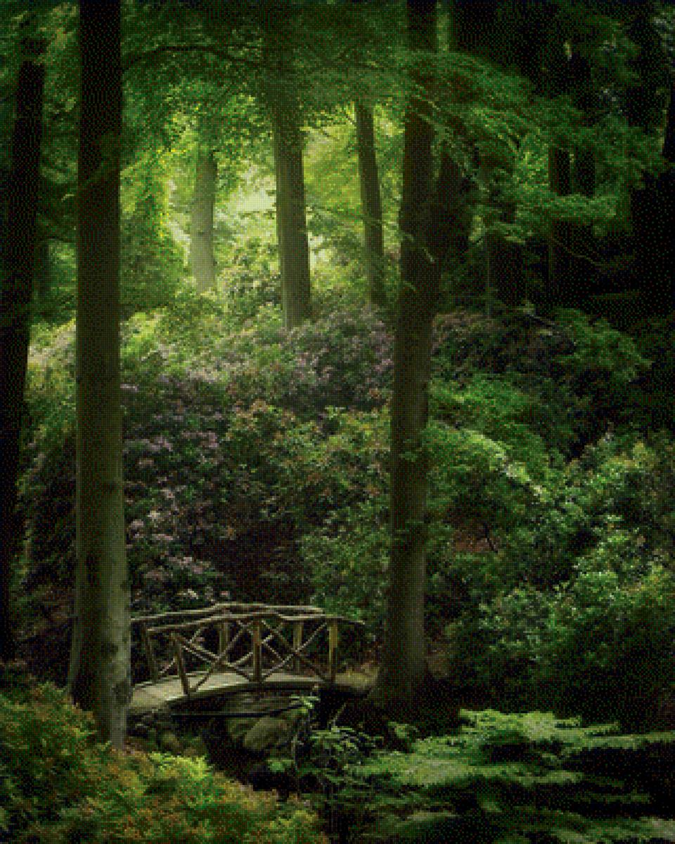 Мостик в лесу - лес, пейзаж, природа - предпросмотр