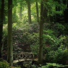 Схема вышивки «Мостик в лесу»