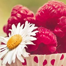 Схема вышивки «Малинка»