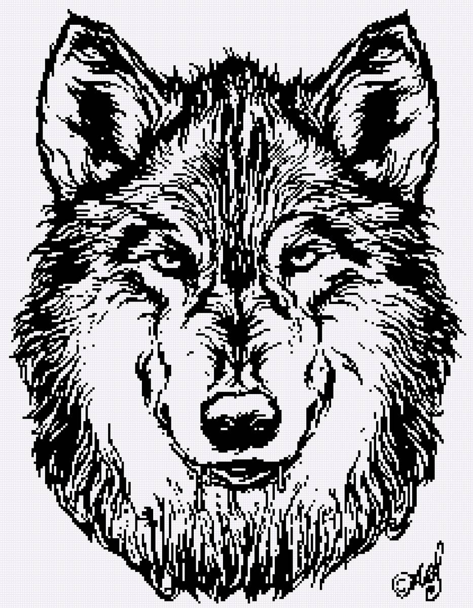 волк - предпросмотр