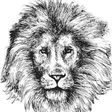 Схема вышивки «лев 4»