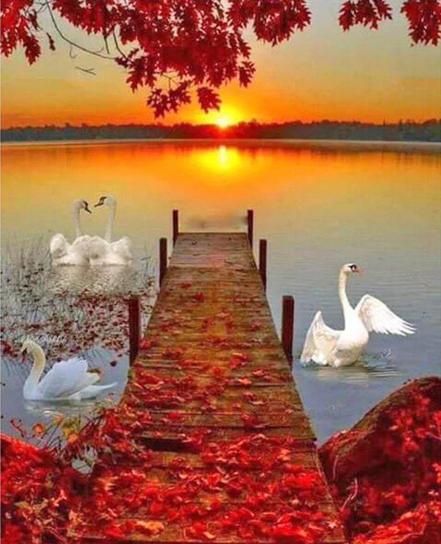 Лебеди - оригинал