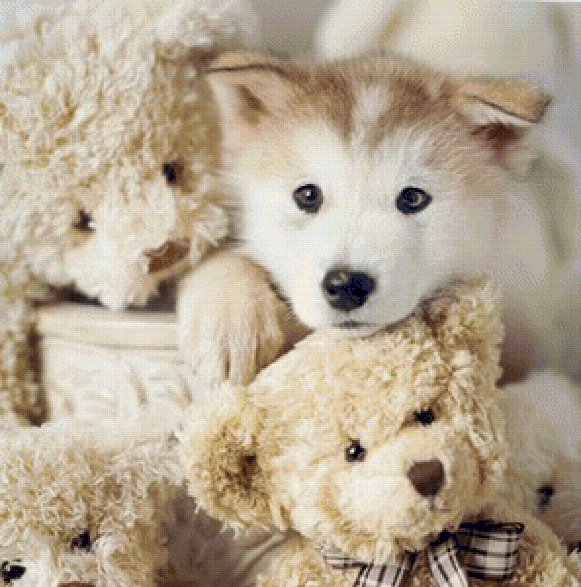 №1914680 - животные - предпросмотр