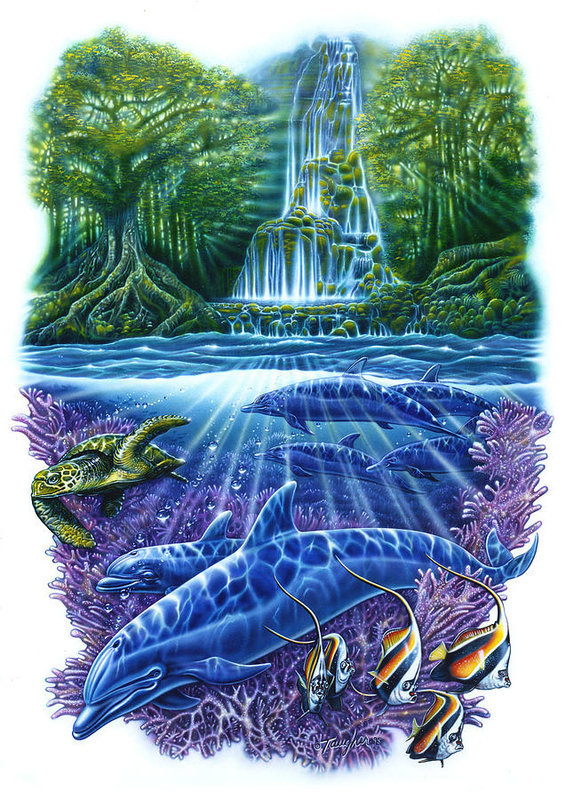 Подводный мир - рыбы, дельфины, водопад, рисунок, черепаха, подводный мир - оригинал