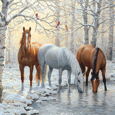 Схема вышивки «konie»