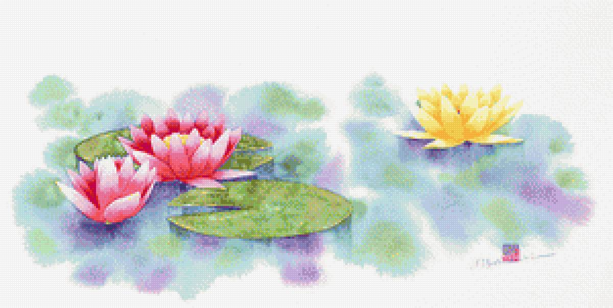 Акварель.Лотосы. Ibaragi Yoshiyuki (Япония) - акварель, цветы, художники - предпросмотр