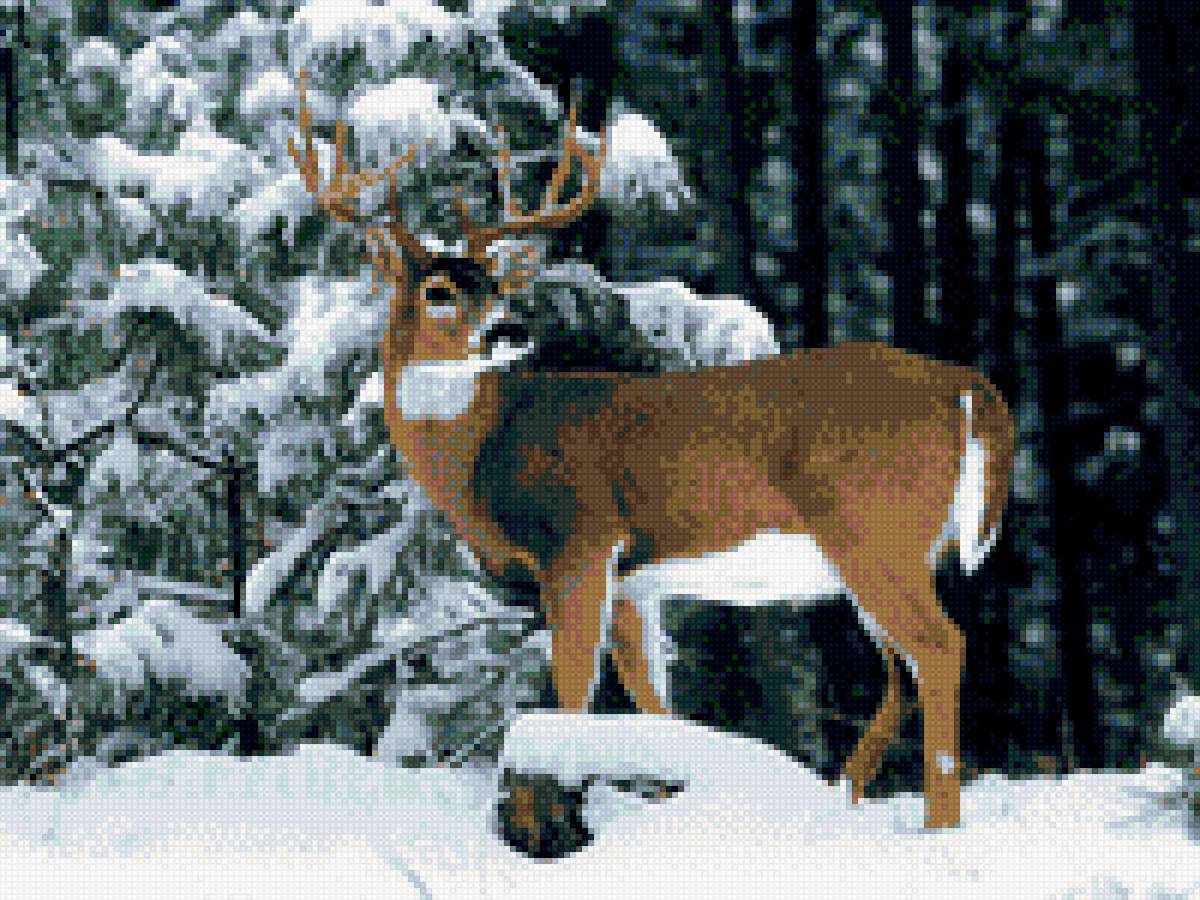 олень в зимнем лесу - зима., олень, снег, лес - предпросмотр