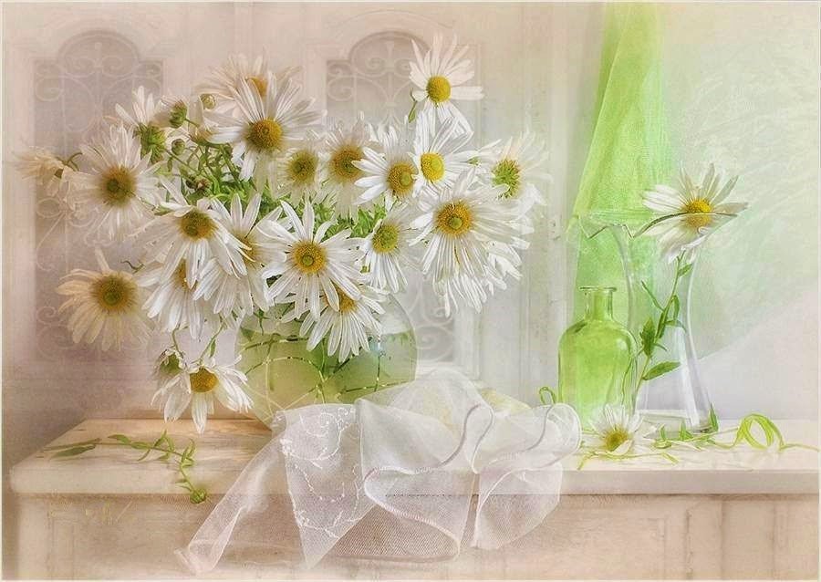 Ромашки - цветы, букет, натюрморт, ромашки - оригинал