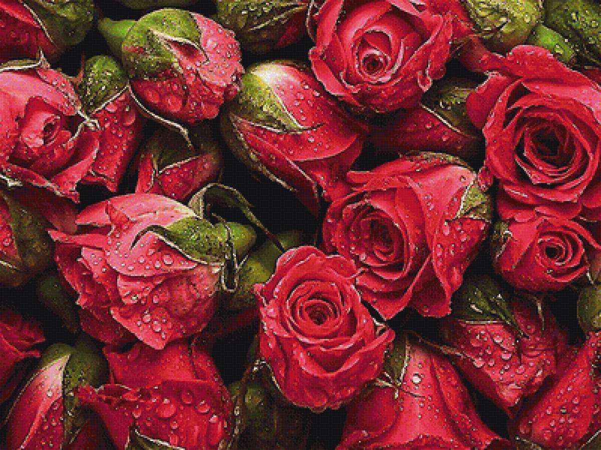 №1915301 - предпросмотр