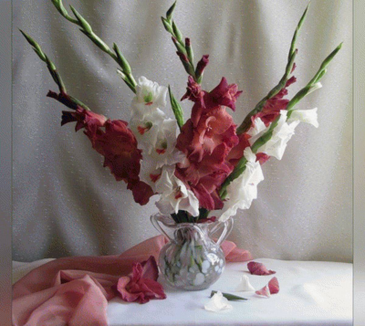 Гладиолусы - предпросмотр